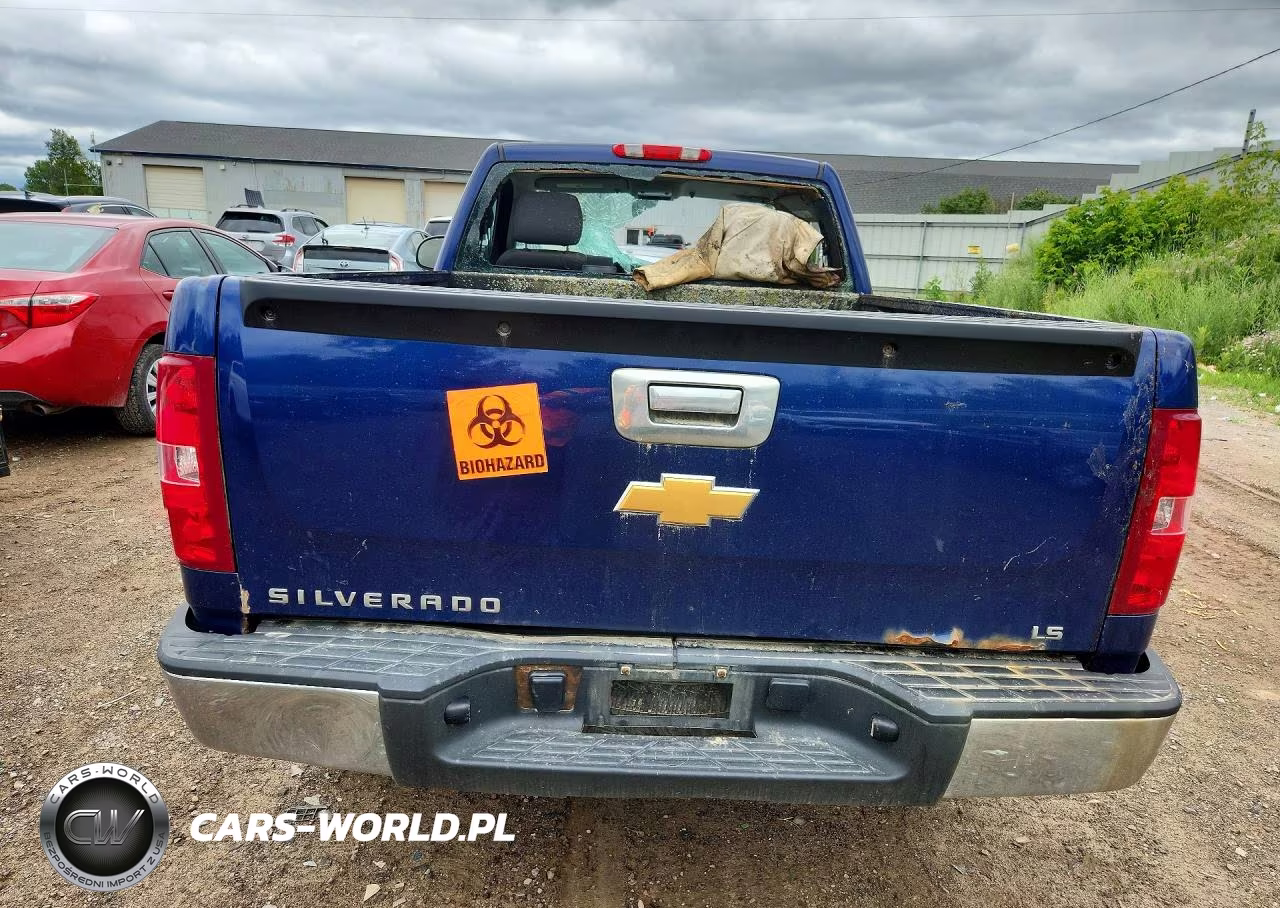 2013 Chevrolet Silverado C1500 VIN:1GCNCPEX3DZ111719 - 6