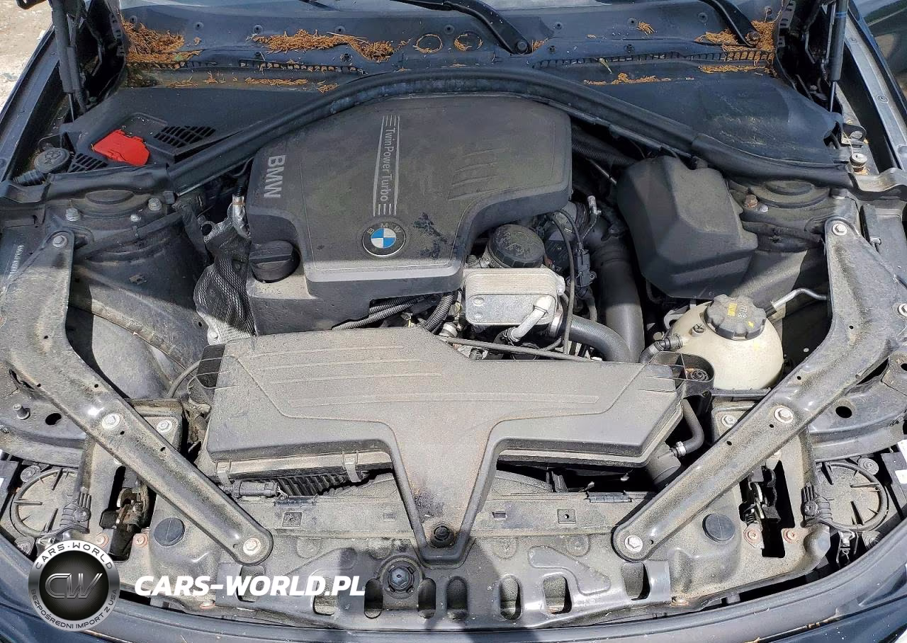 2015 BMW 428 Xi Sulev VIN:WBA3T1C55FP819830 - 11