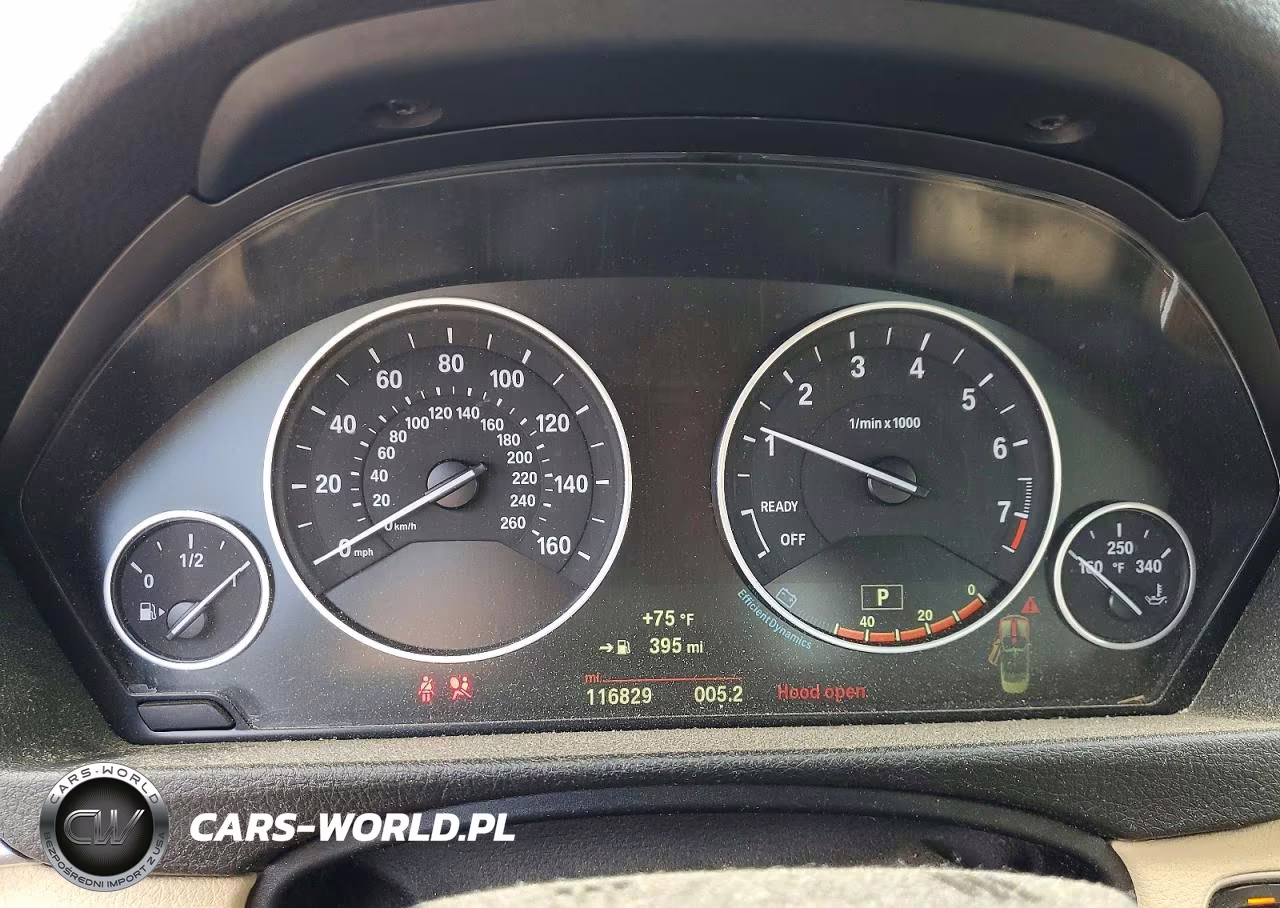 2015 BMW 428 Xi Sulev VIN:WBA3T1C55FP819830 - 9