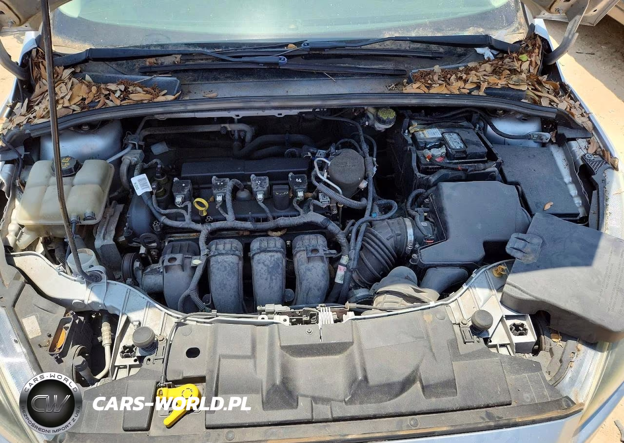2015 Ford Focus Se VIN:1FADP3F21FL240582 - 11