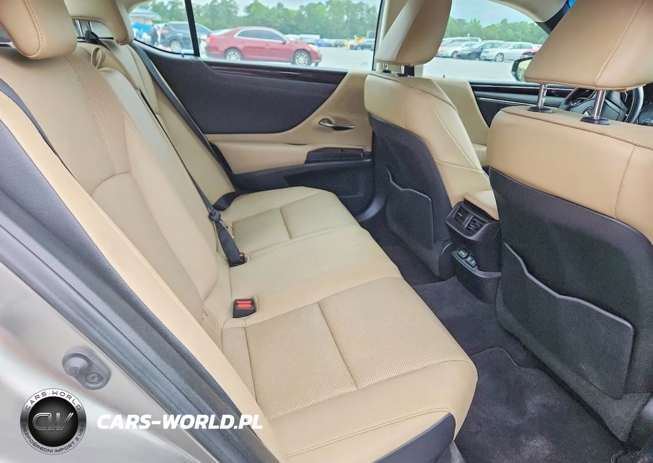 2021 Lexus Es 300H VIN:58ADA1C19MU004060 - 10