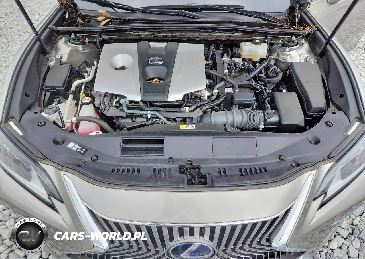 2021 Lexus Es 300H VIN:58ADA1C19MU004060 - 11