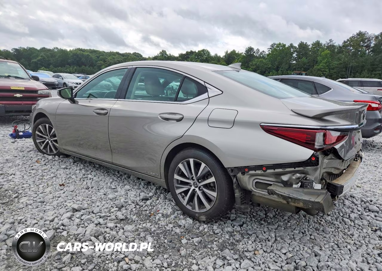 2021 Lexus Es 300H VIN:58ADA1C19MU004060 - 2