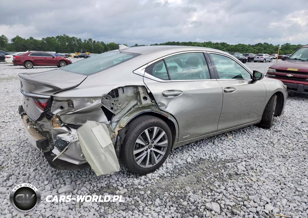 2021 Lexus Es 300H VIN:58ADA1C19MU004060 - 3