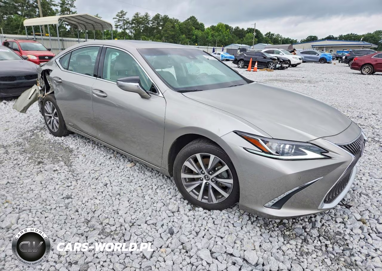 2021 Lexus Es 300H VIN:58ADA1C19MU004060 - 4