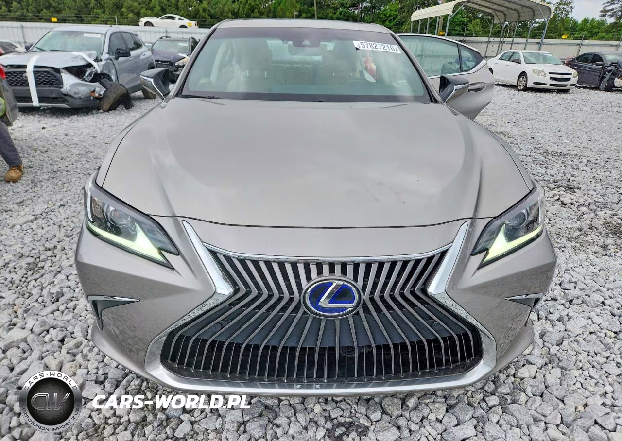 2021 Lexus Es 300H VIN:58ADA1C19MU004060 - 5