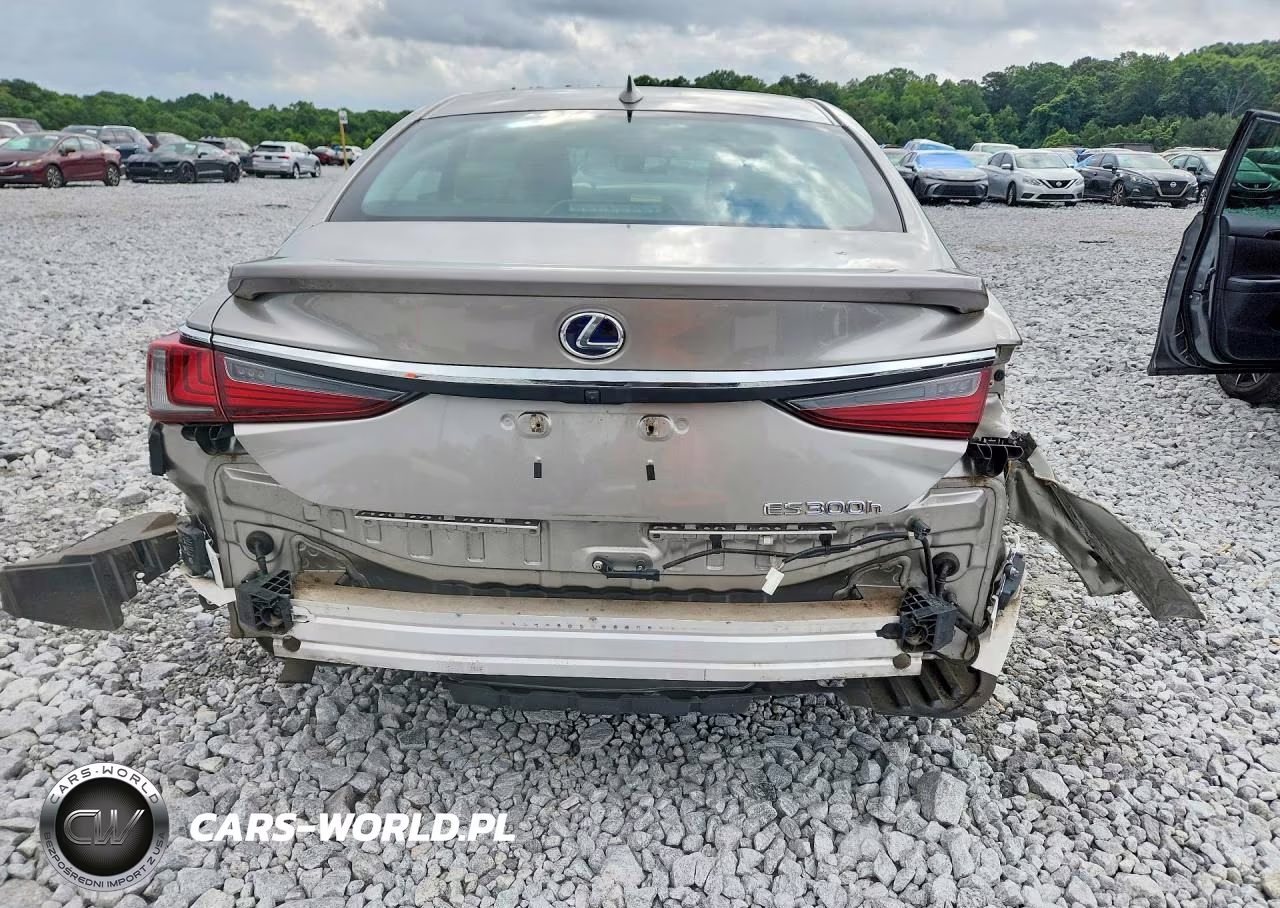2021 Lexus Es 300H VIN:58ADA1C19MU004060 - 6