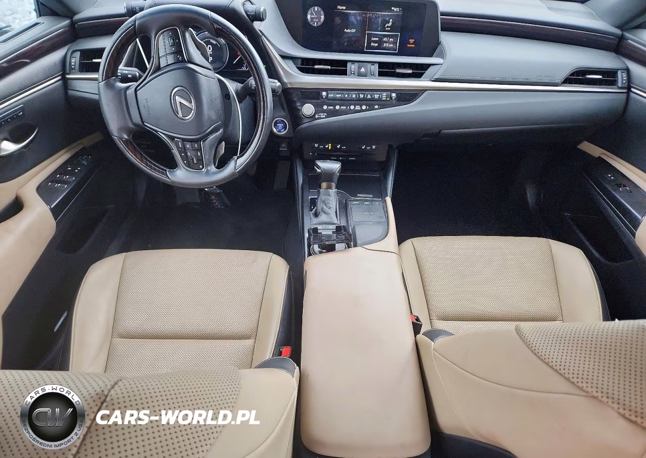 2021 Lexus Es 300H VIN:58ADA1C19MU004060 - 8
