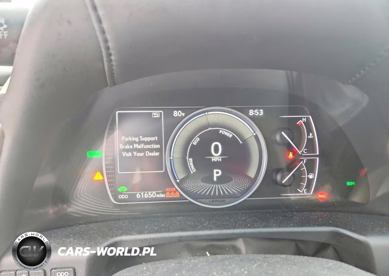 2021 Lexus Es 300H VIN:58ADA1C19MU004060 - 9