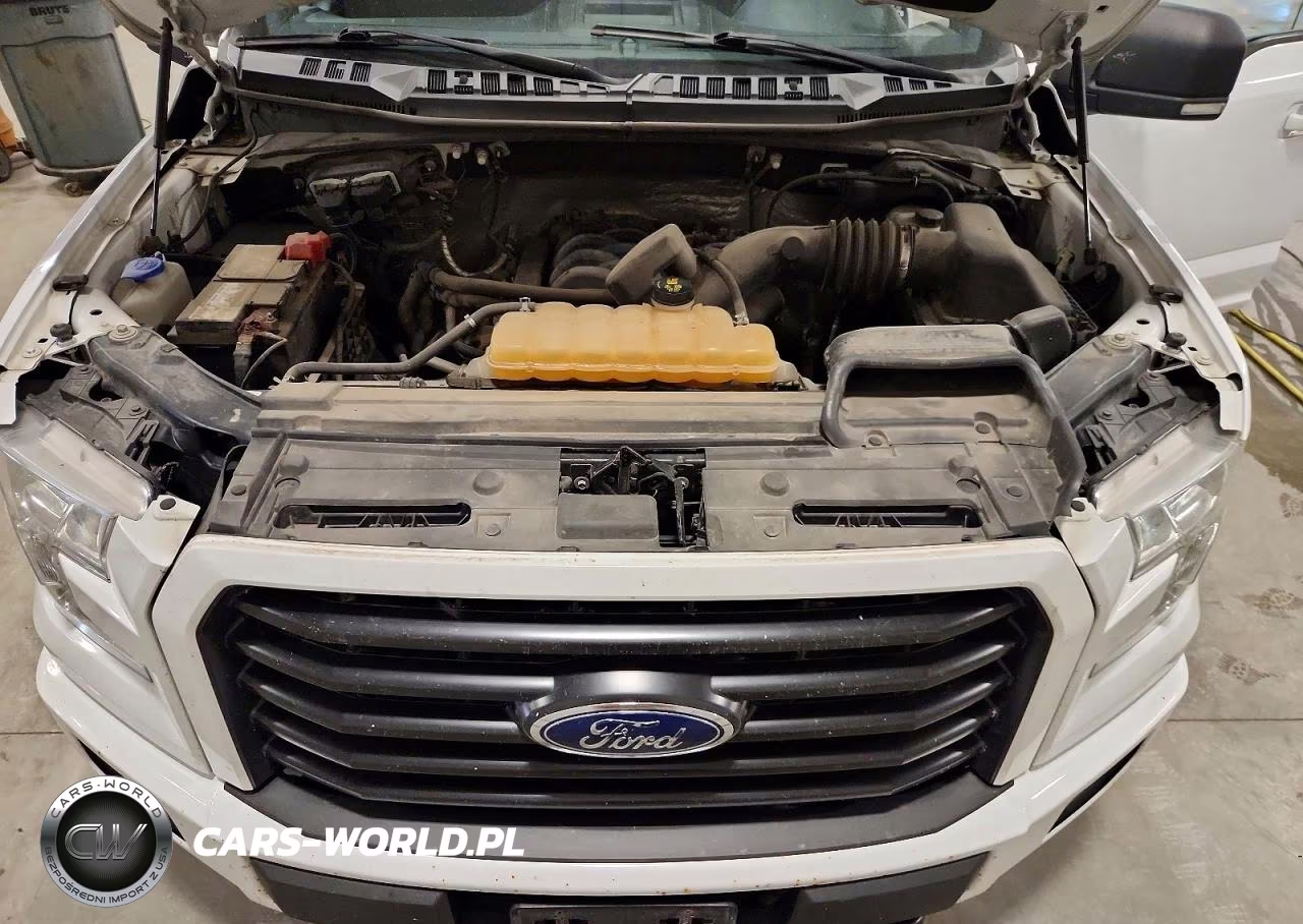 2016 Ford F150 Supercrew VIN:1FTEW1EF3GKE95669 - 11