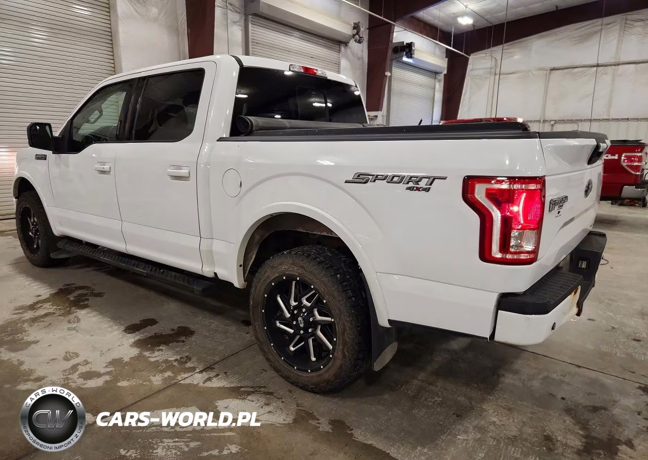 2016 Ford F150 Supercrew VIN:1FTEW1EF3GKE95669 - 2