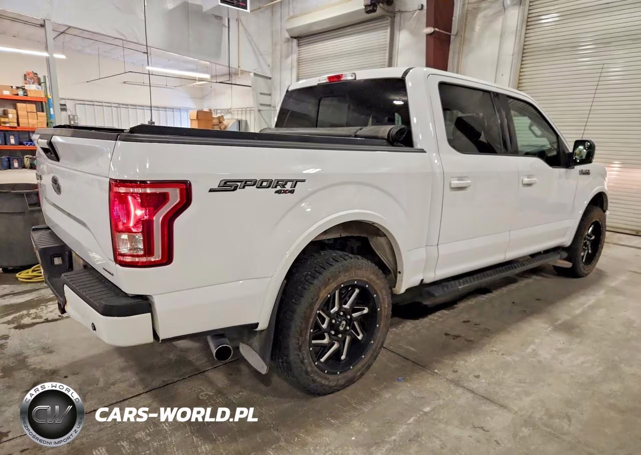 2016 Ford F150 Supercrew VIN:1FTEW1EF3GKE95669 - 3