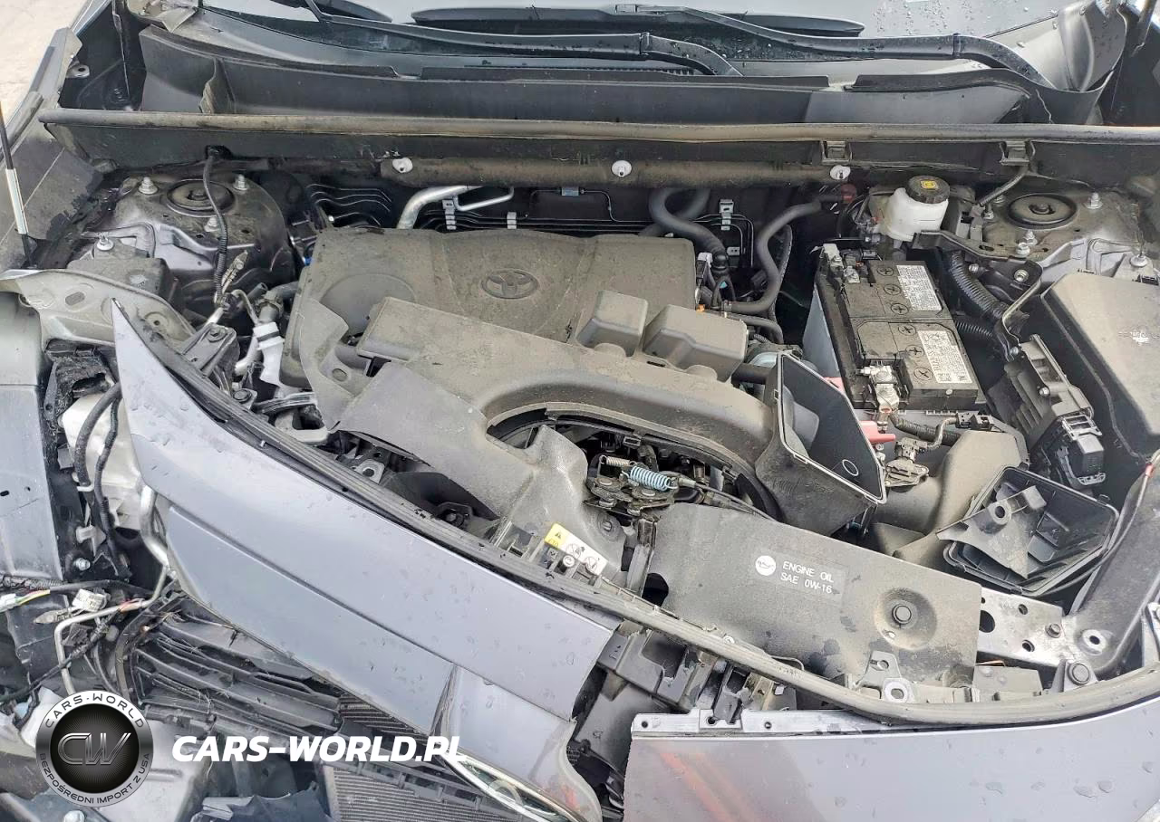 2025 Toyt Rav4 Xle VIN:2T3P1RFV6SC528046 - 12