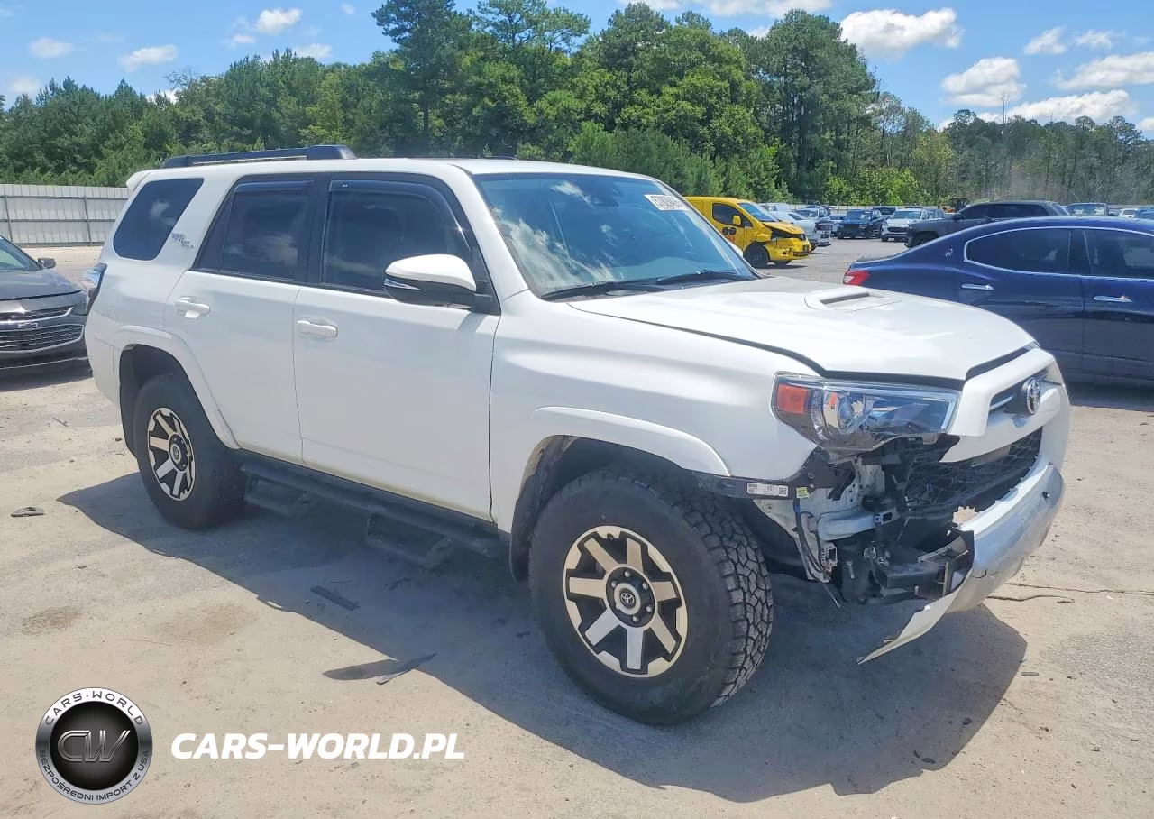 2020 Toyota 4Runner Trd Off-Road Premium VIN:JTEBU5JR3L5805629 - 4