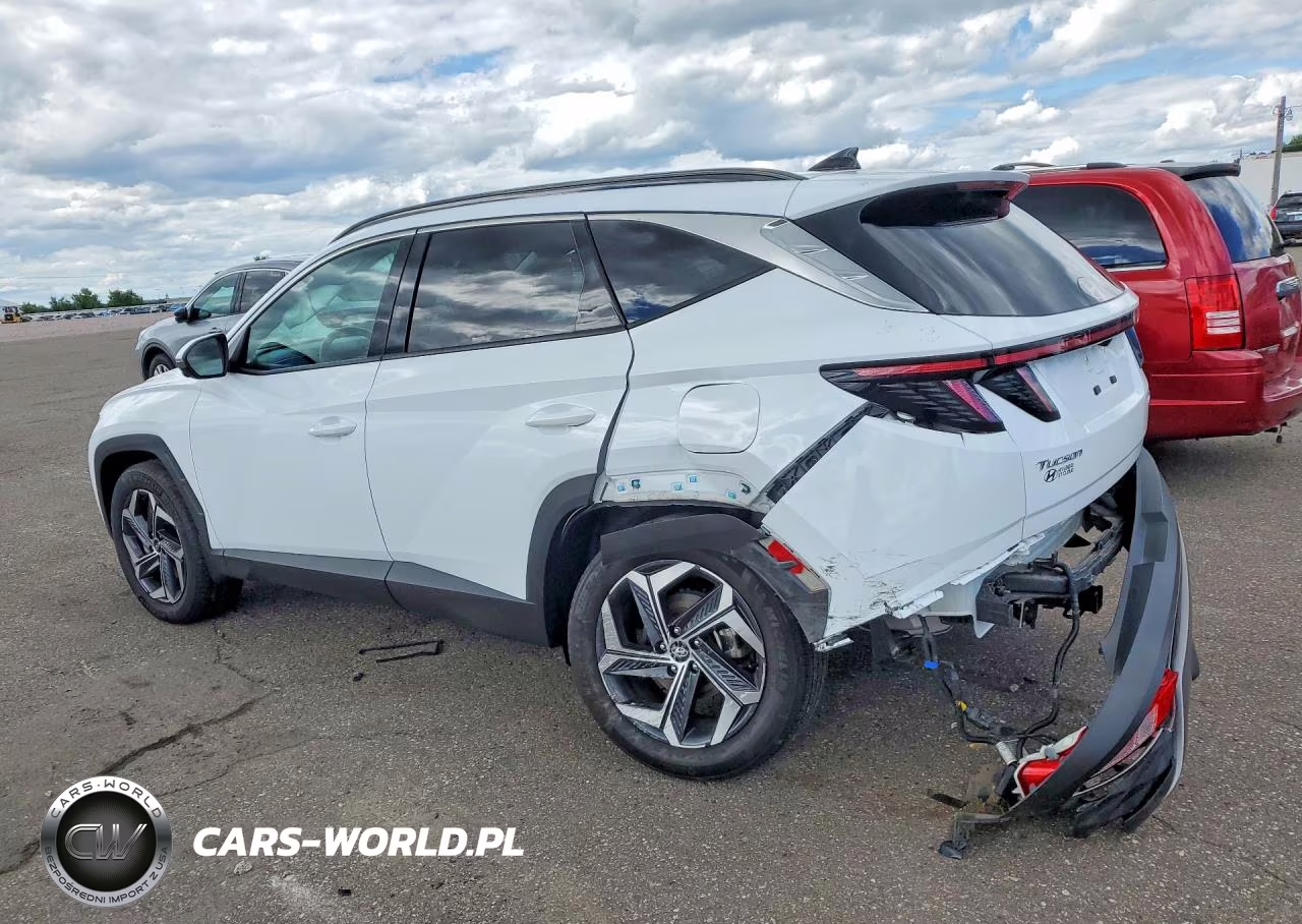 2024 Hyundai Tucson Limited VIN:KM8JECD14RU139821 - 2