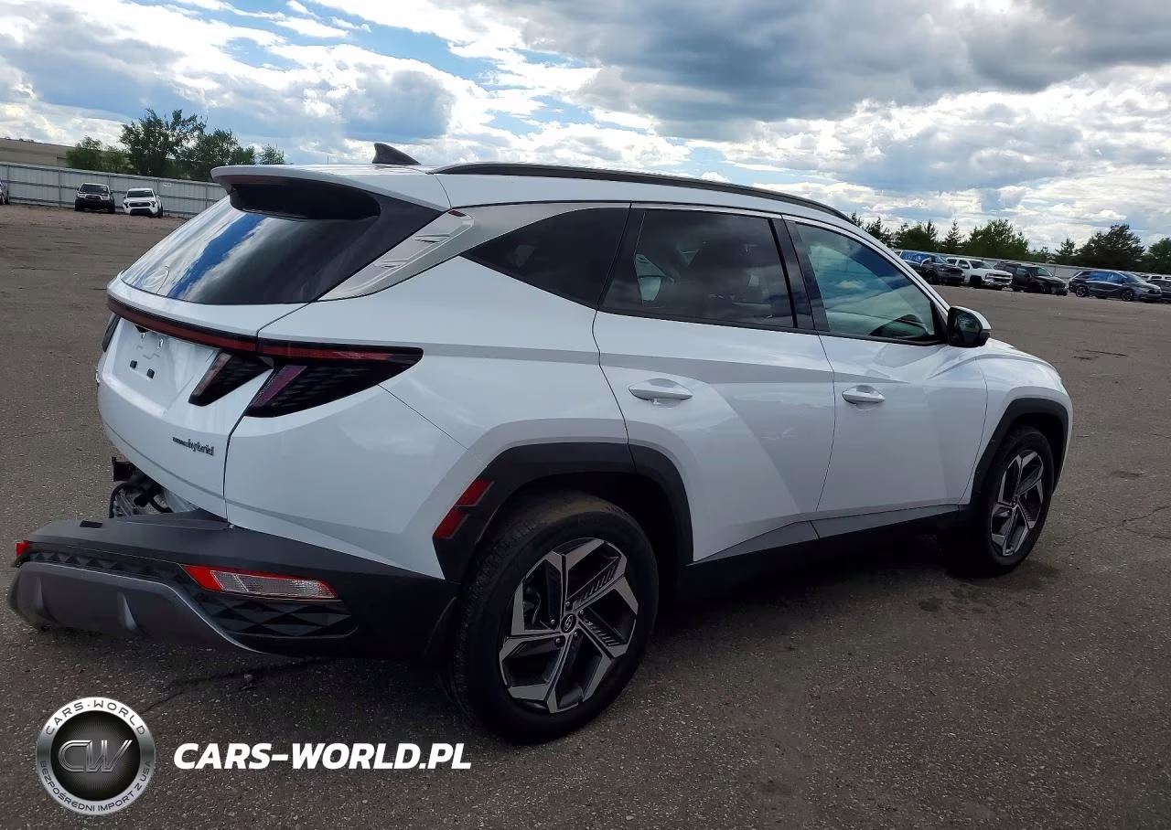 2024 Hyundai Tucson Limited VIN:KM8JECD14RU139821 - 3