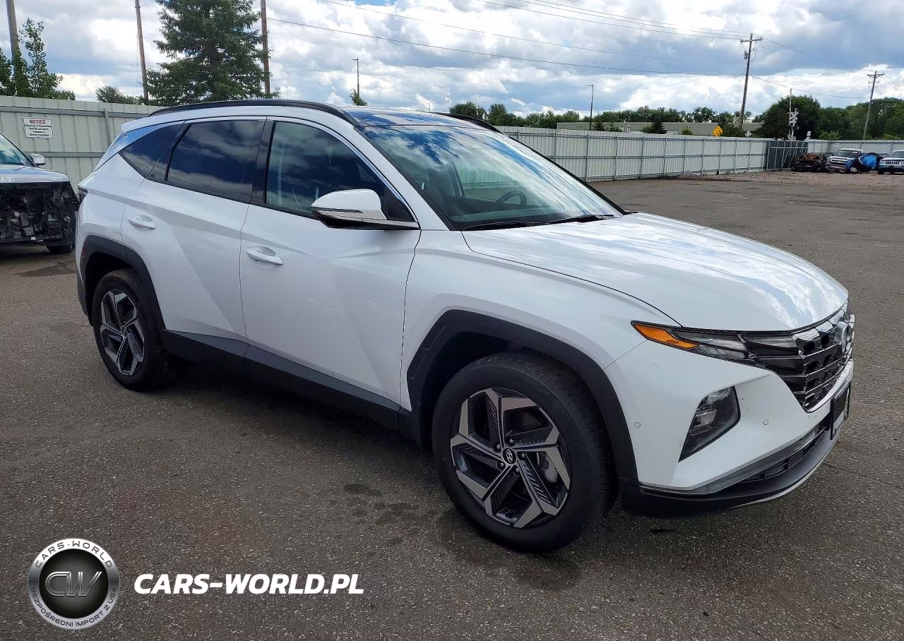 2024 Hyundai Tucson Limited VIN:KM8JECD14RU139821 - 4