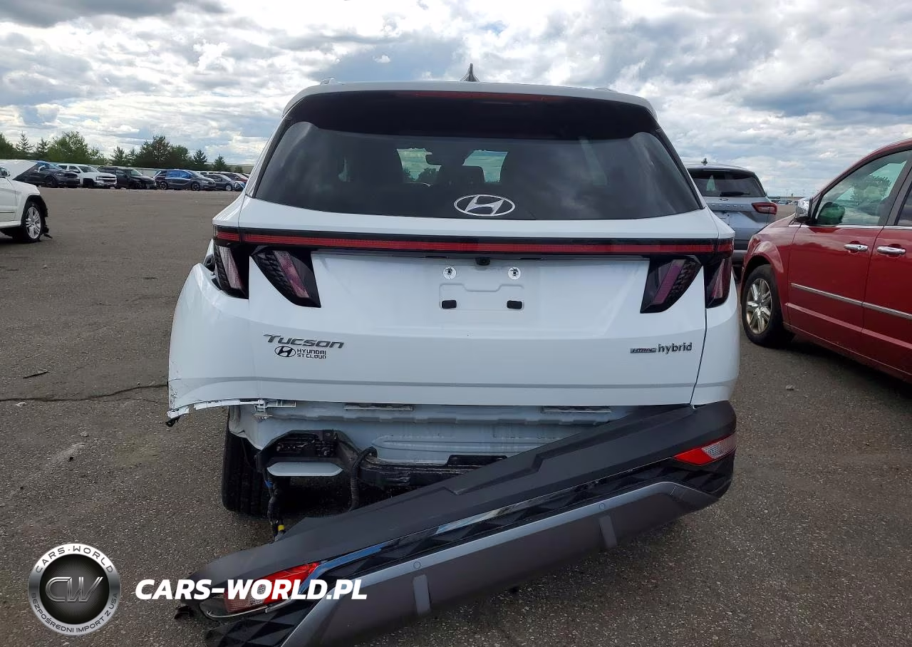 2024 Hyundai Tucson Limited VIN:KM8JECD14RU139821 - 6