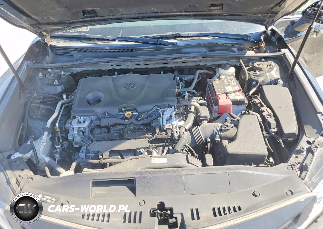 2020 Toyota Camry Se VIN:4T1M11AKXLU971276 - 11