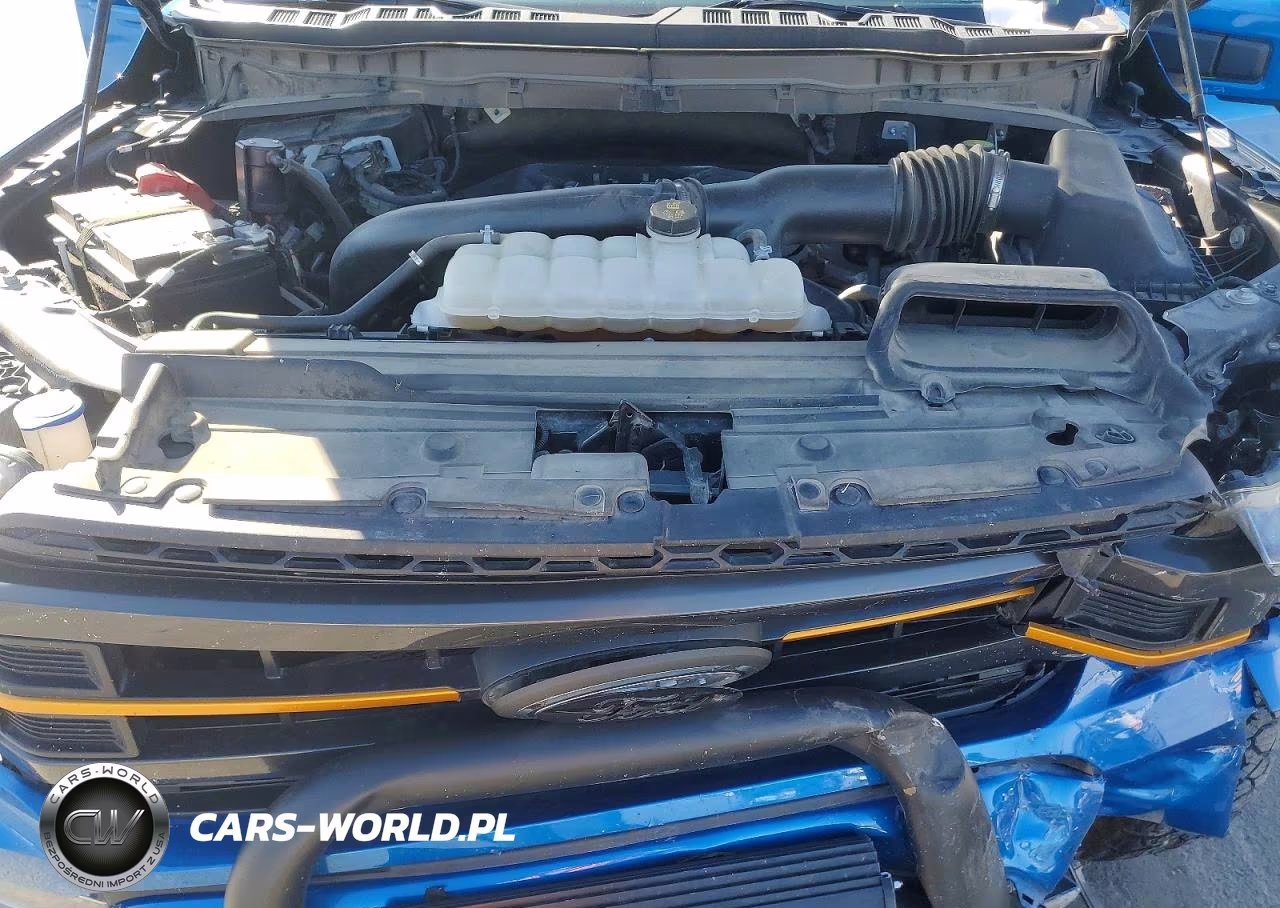 2021 Ford F150 Supercrew VIN:1FTEW1E88MFC49061 - 11