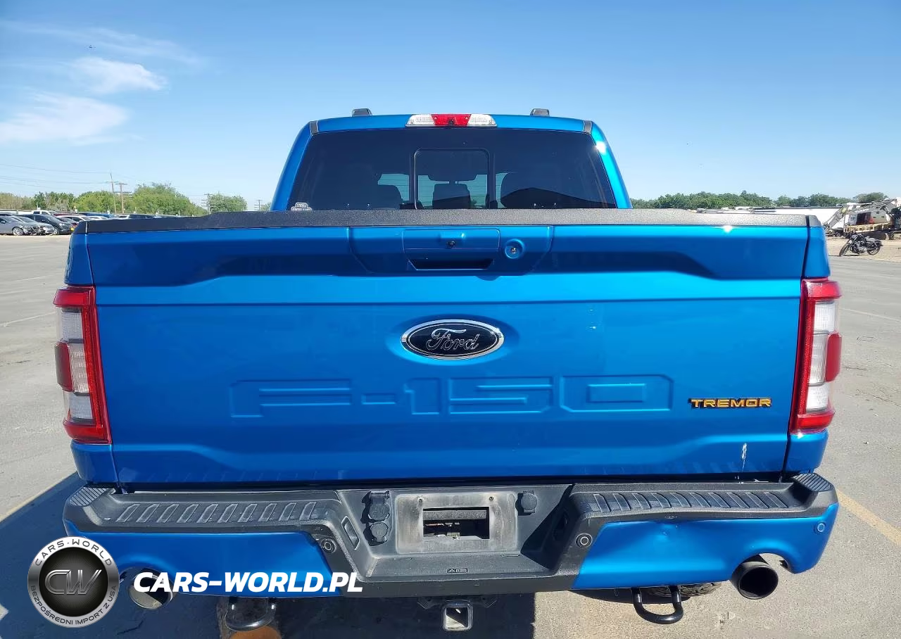 2021 Ford F150 Supercrew VIN:1FTEW1E88MFC49061 - 6