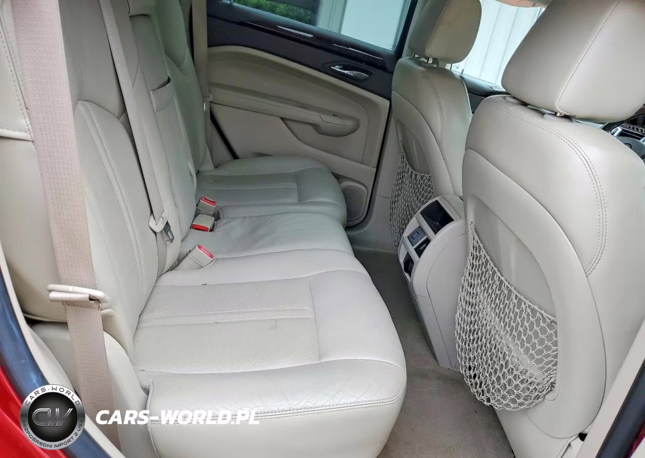 2010 Cadillac Srx Luxury Collection VIN:3GYFNDEY8AS544591 - 10