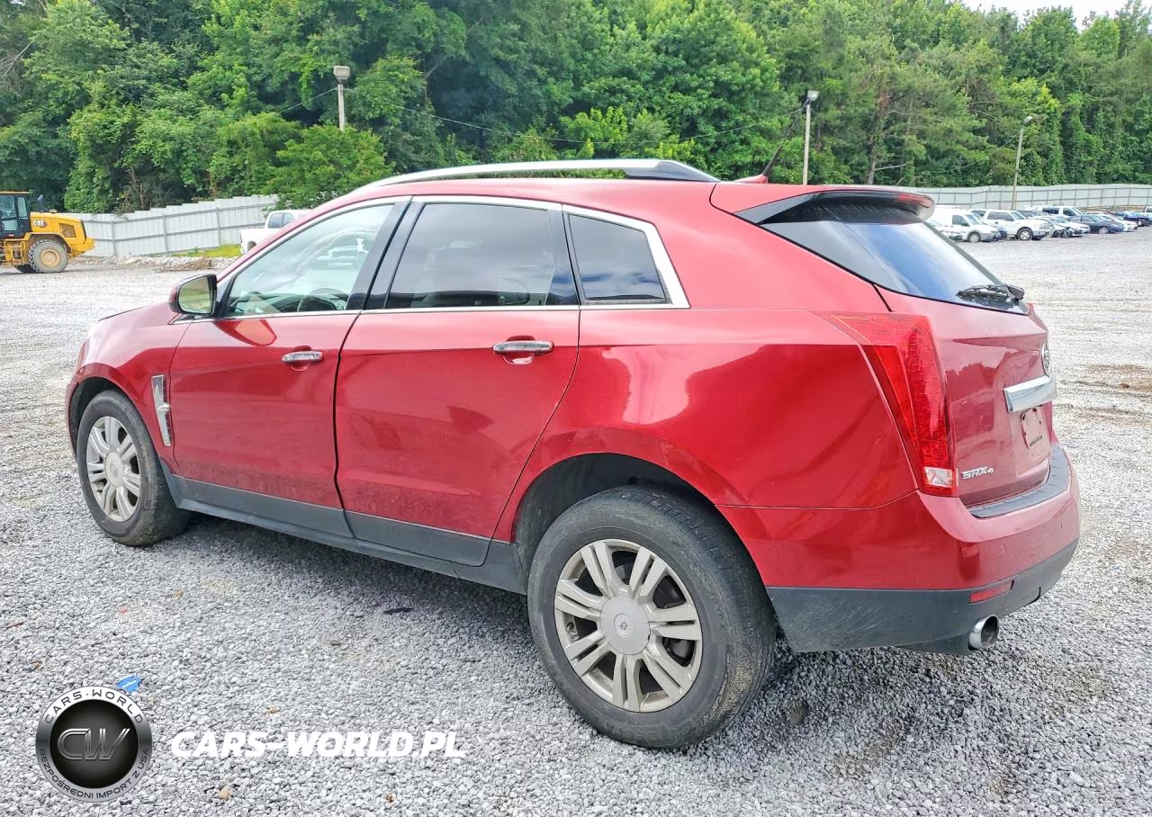 2010 Cadillac Srx Luxury Collection VIN:3GYFNDEY8AS544591 - 2