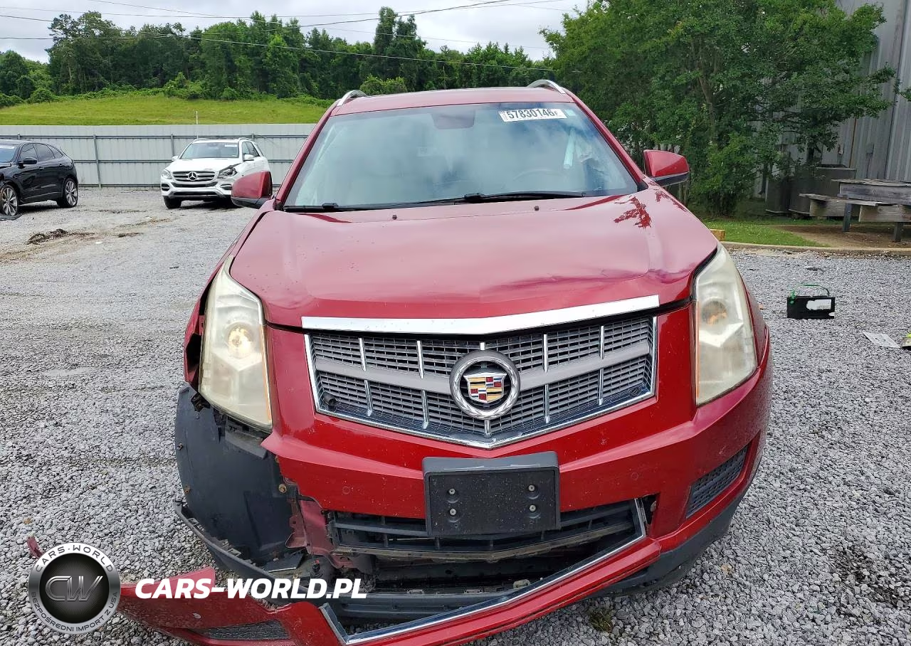 2010 Cadillac Srx Luxury Collection VIN:3GYFNDEY8AS544591 - 5