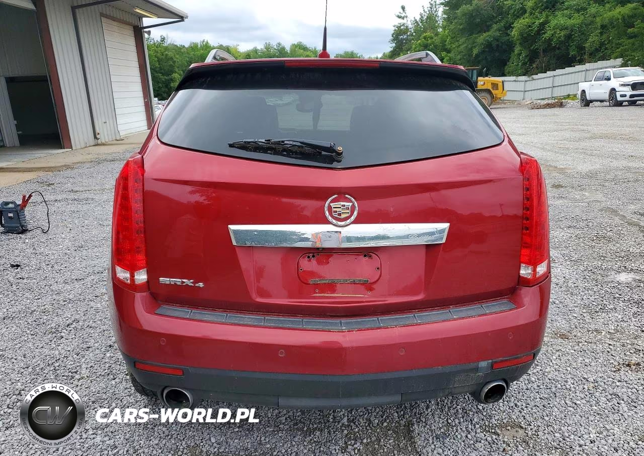 2010 Cadillac Srx Luxury Collection VIN:3GYFNDEY8AS544591 - 6