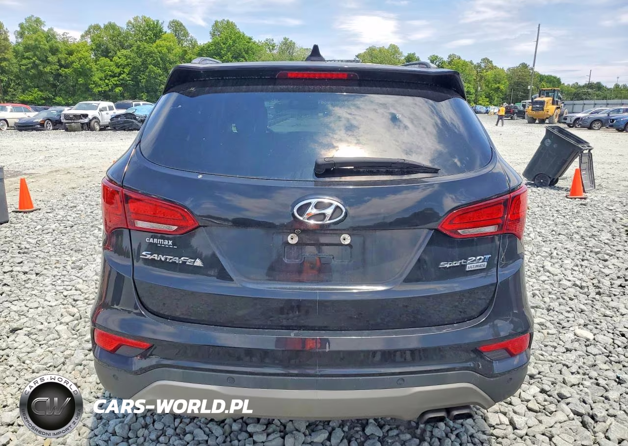 2017 Hyundai Santa Fe Sport 2.0T Ultimate VIN:5XYZW4LA6HG464370 - 6