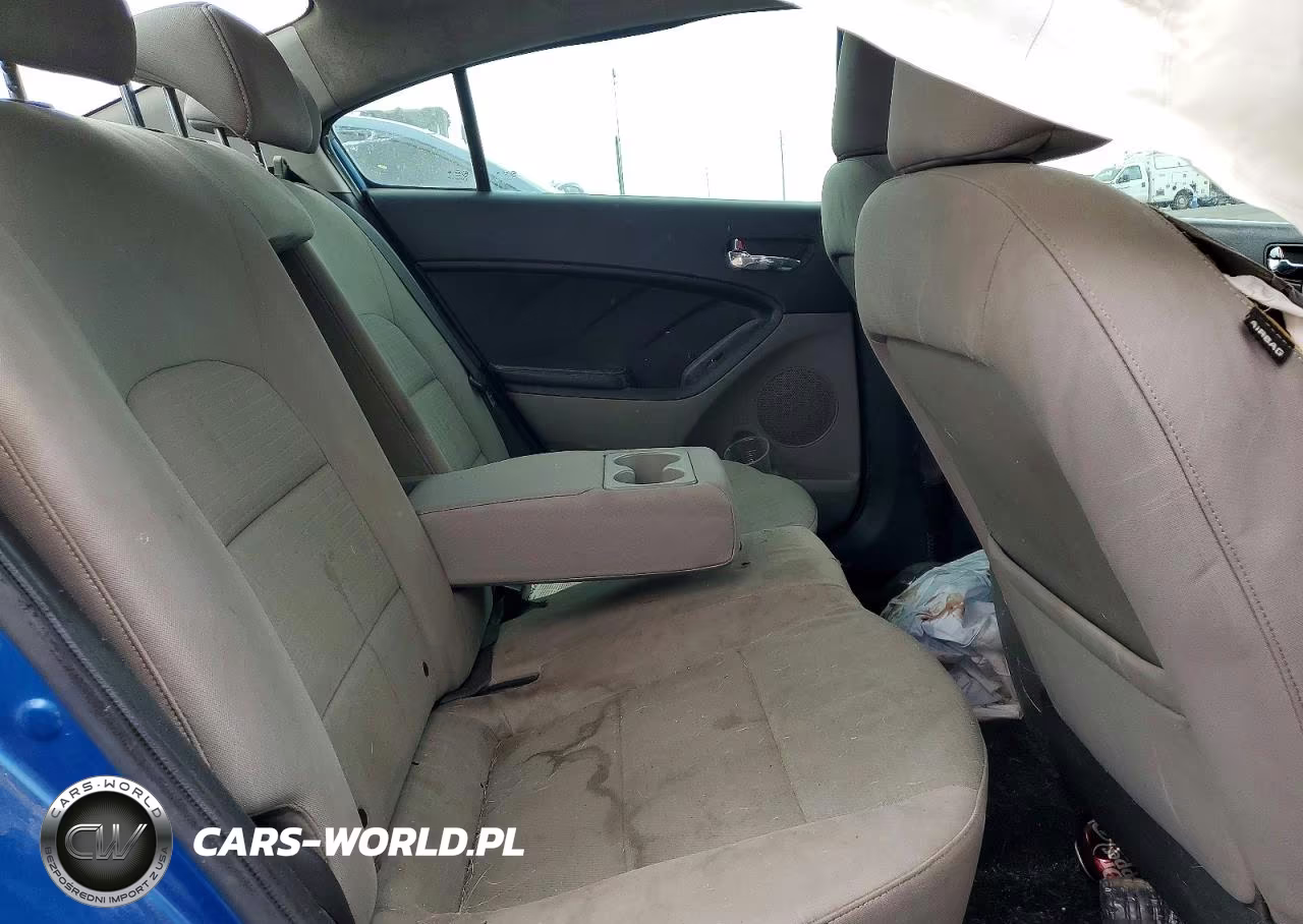 2014 Kia Forte Lx VIN:KNAFX4A65E5188392 - 10