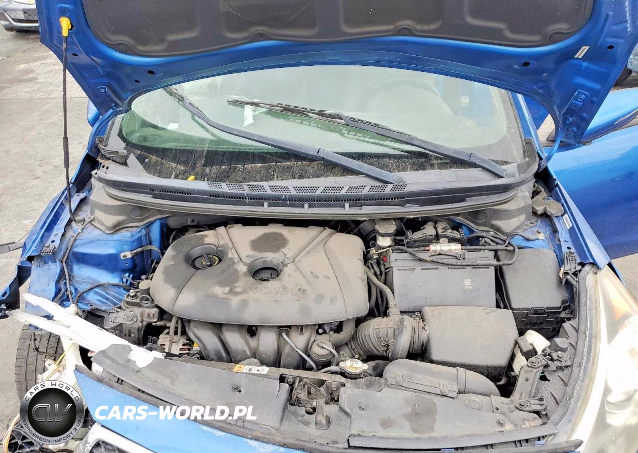 2014 Kia Forte Lx VIN:KNAFX4A65E5188392 - 11