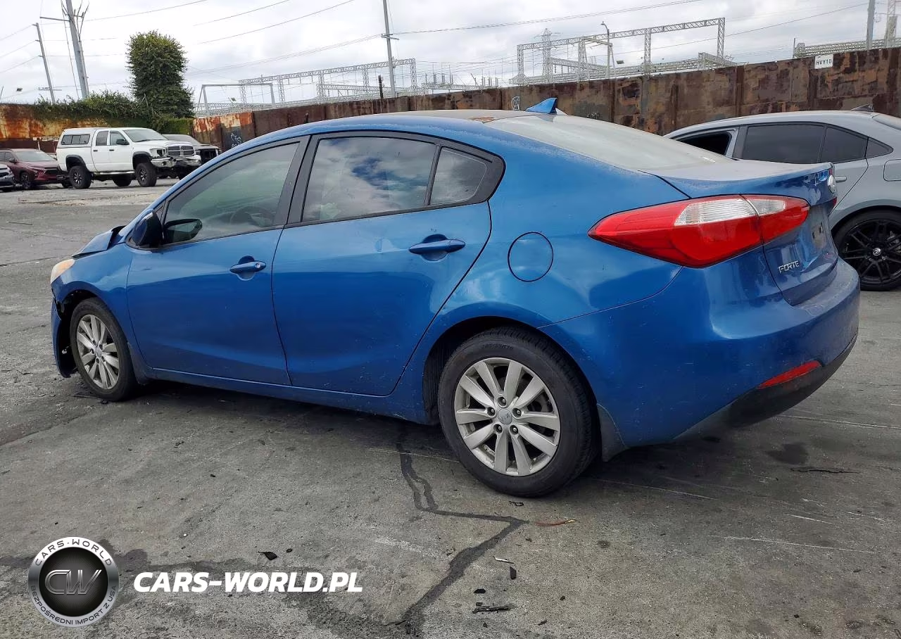 2014 Kia Forte Lx VIN:KNAFX4A65E5188392 - 2