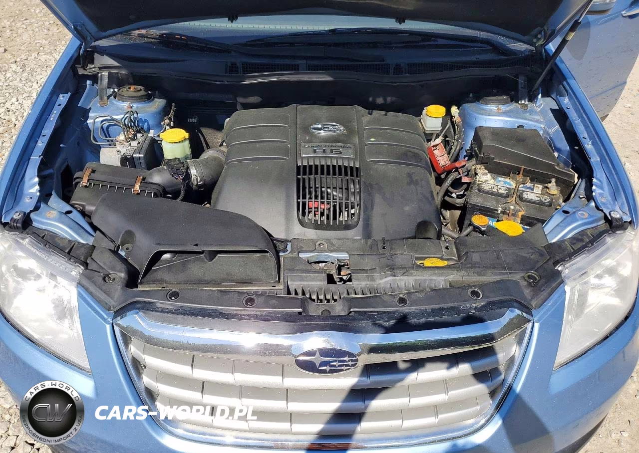 2010 Subaru Tribeca Limited VIN:4S4WX9GD6A4402789 - 12