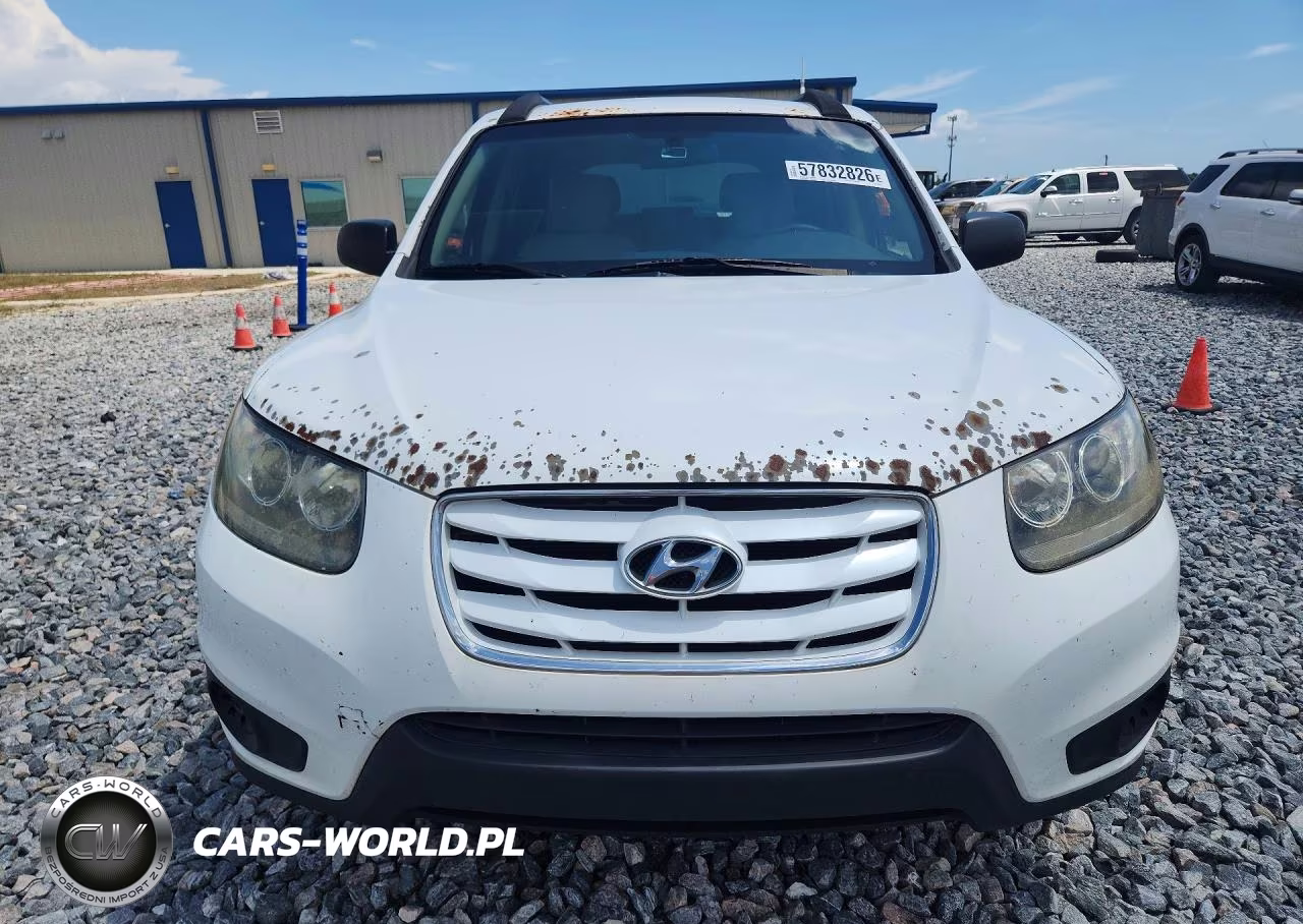 2010 Hyundai Santa Fe Gls VIN:5NMSG3AB7AH386617 - 5