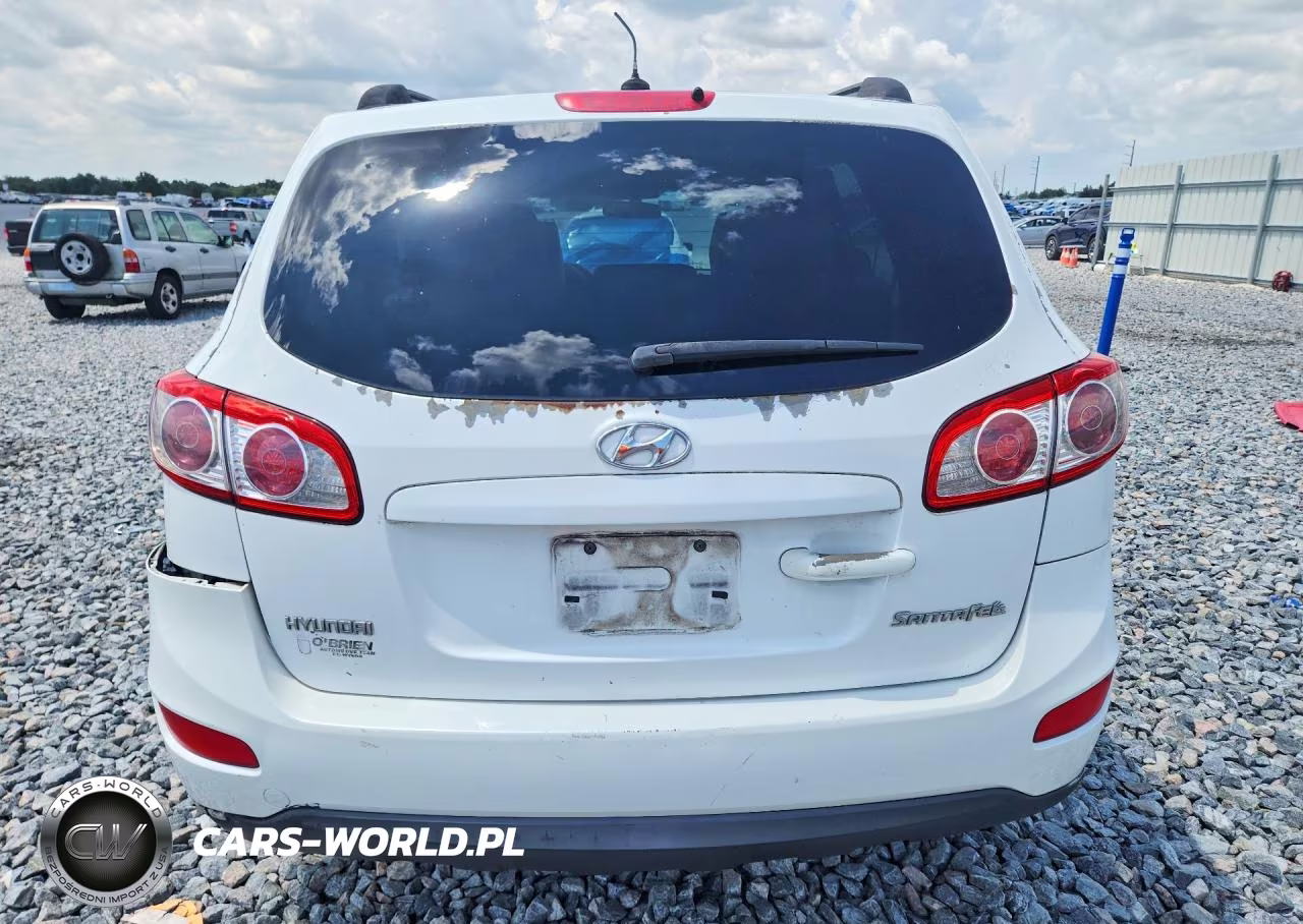 2010 Hyundai Santa Fe Gls VIN:5NMSG3AB7AH386617 - 6