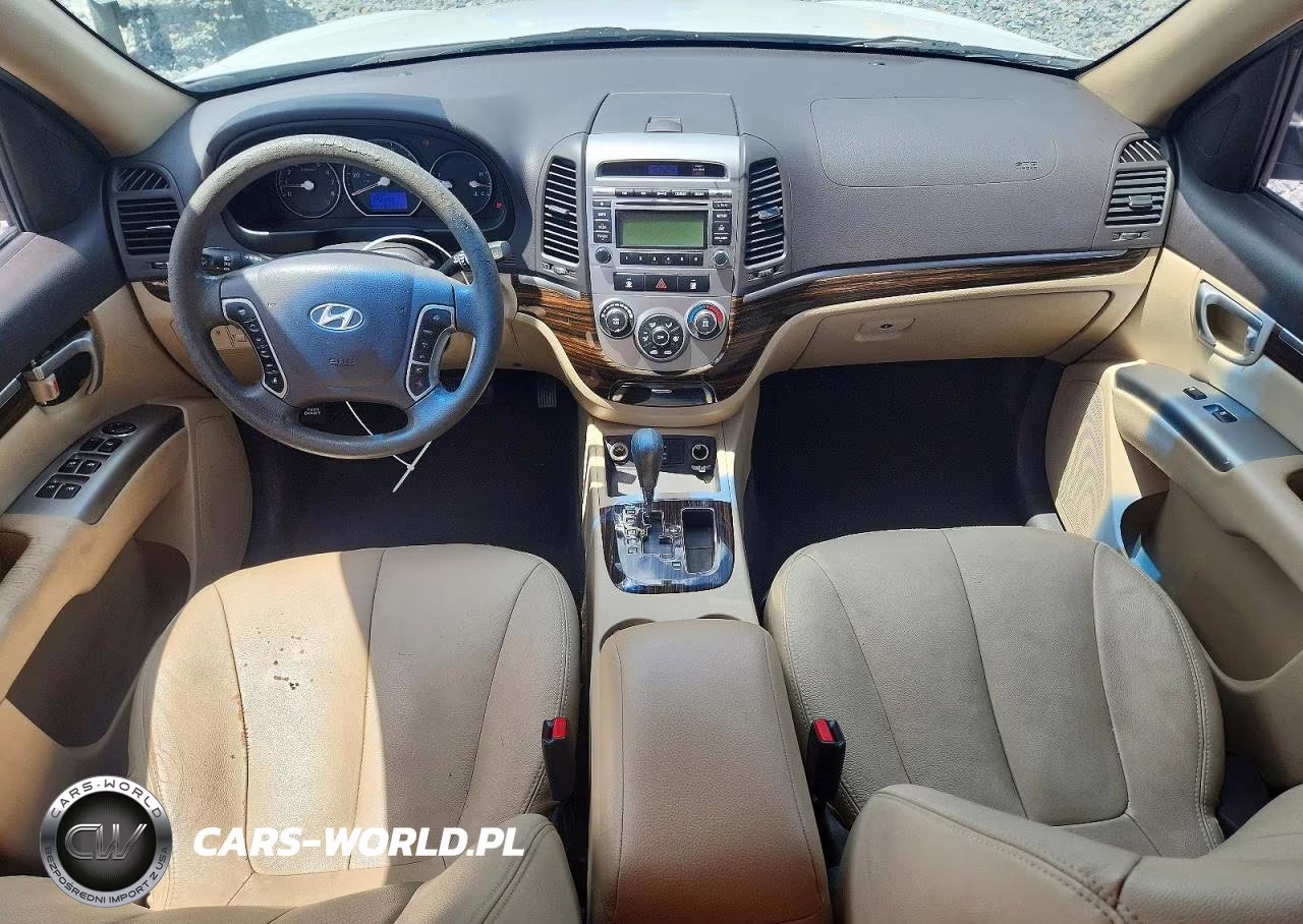 2010 Hyundai Santa Fe Gls VIN:5NMSG3AB7AH386617 - 8