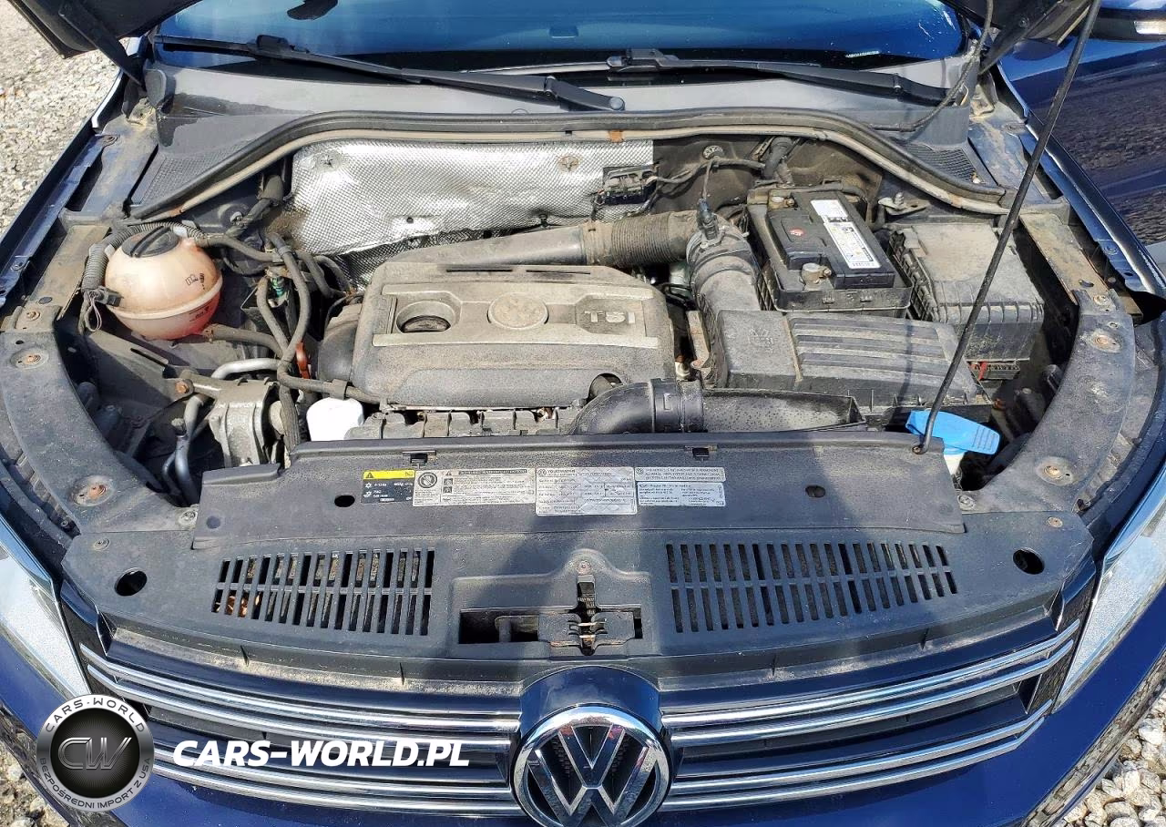 2013 Volkswagen Tiguan VIN:WVGBV3AX2DW072226 - 12