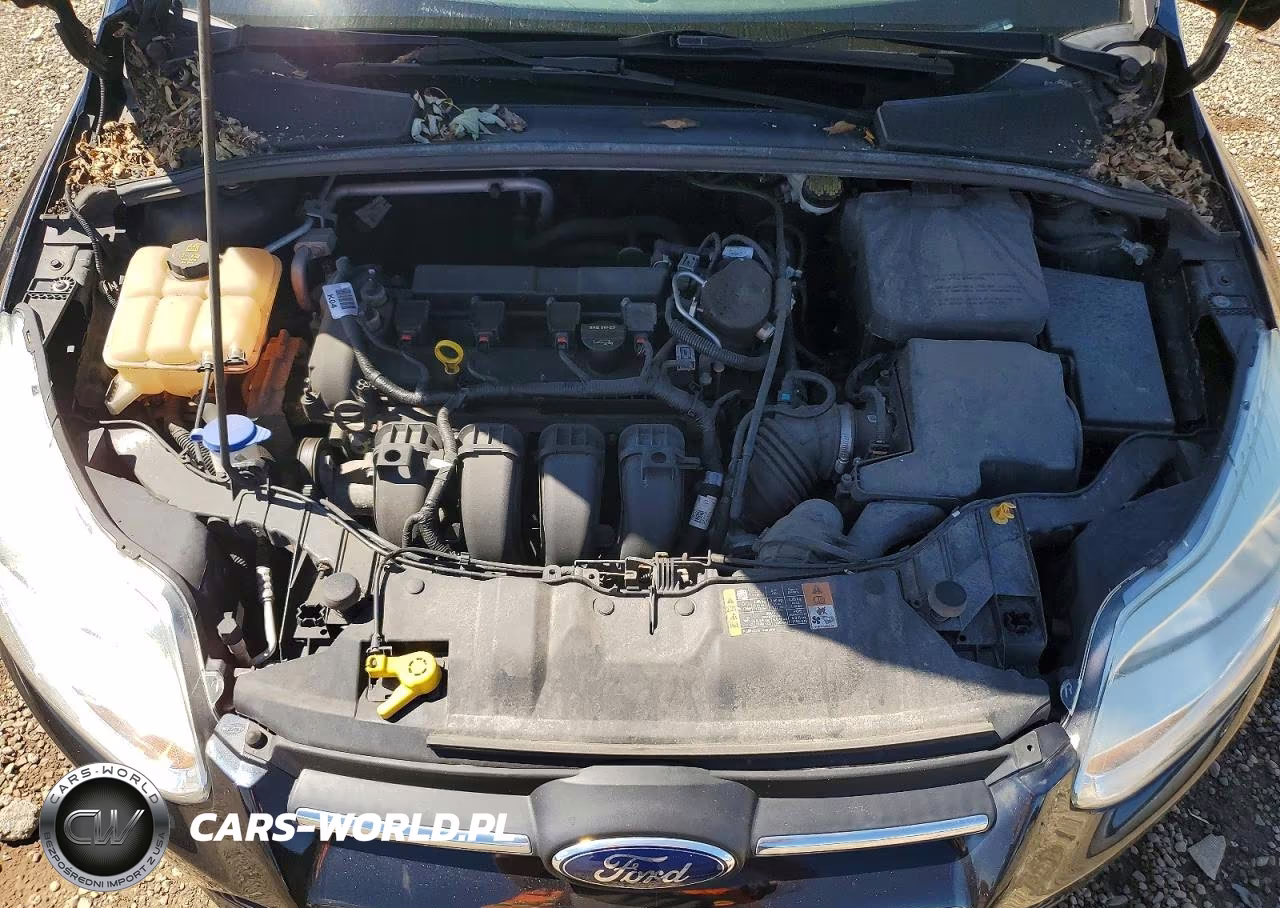 2014 Ford Focus Se VIN:1FADP3F21EL353866 - 11