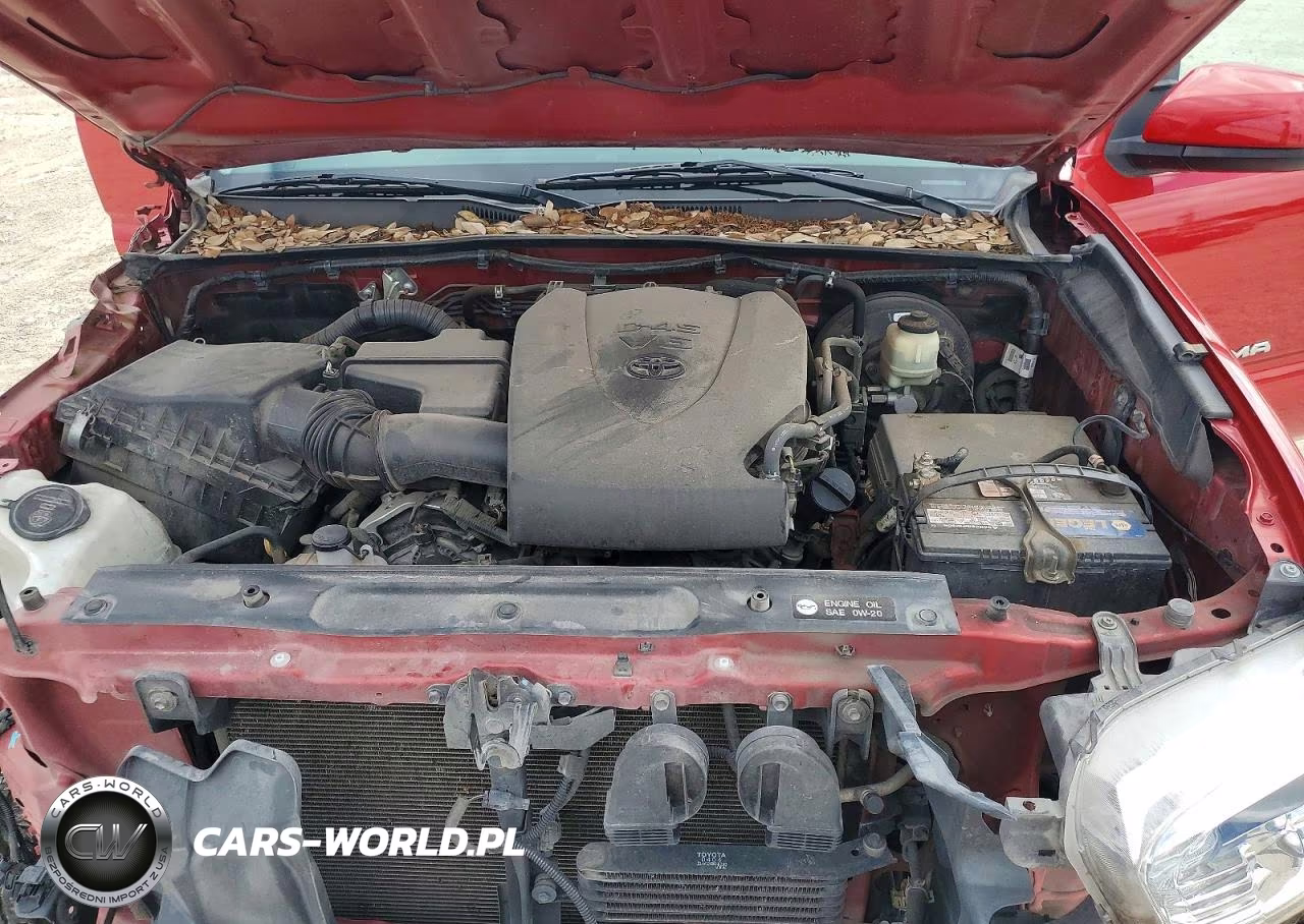 2016 Toyota Tacoma Sr5 V6 VIN:5TFAZ5CN7GX001923 - 11