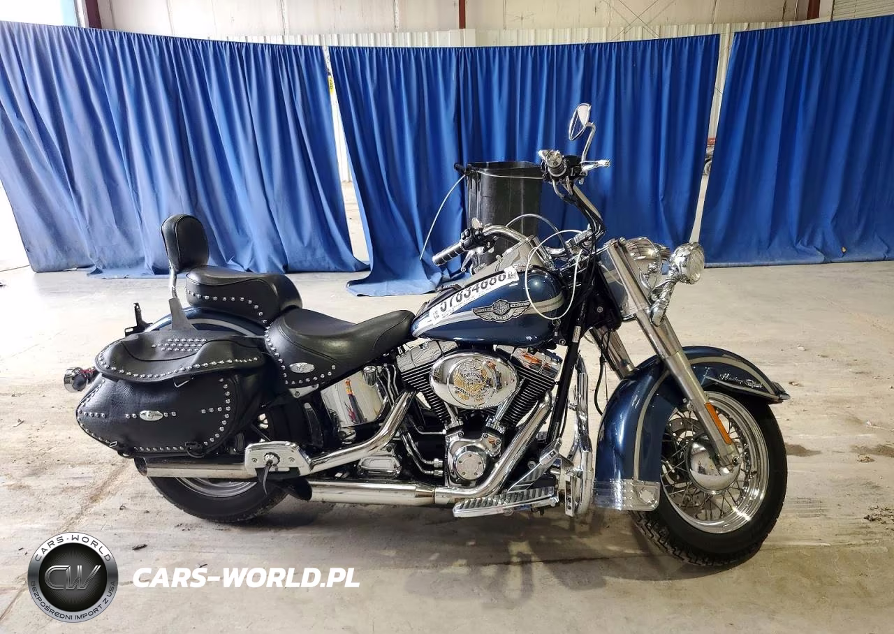 2003 Harley-Davidson Flstci