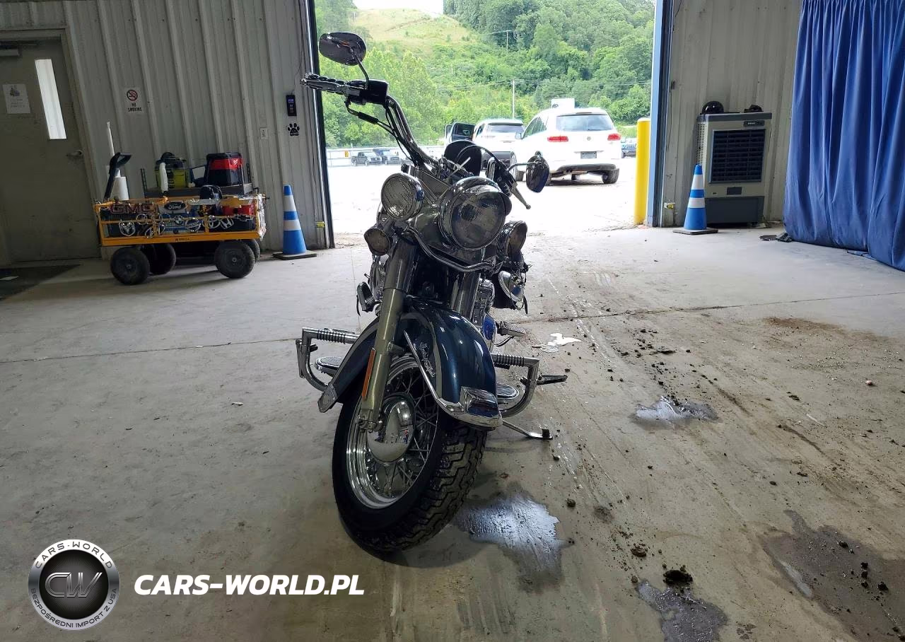 2003 Harley-Davidson Flstci VIN:1HD1BWB113Y093798 - 2