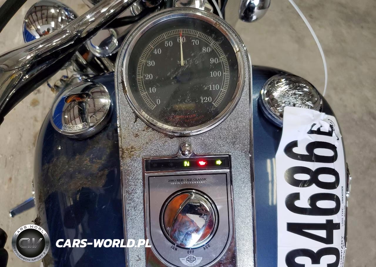 2003 Harley-Davidson Flstci VIN:1HD1BWB113Y093798 - 7