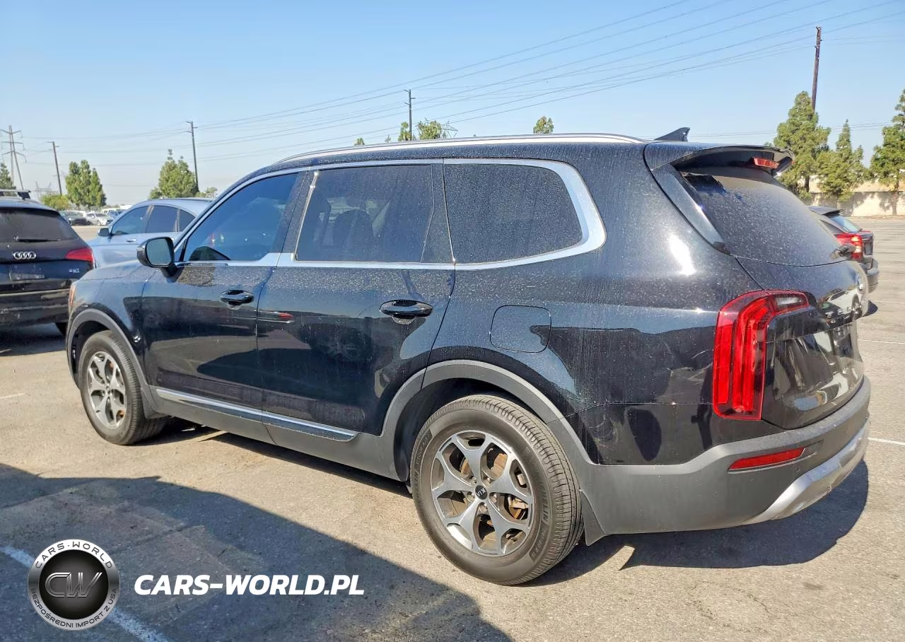 2021 Kia Telluride Ex VIN:5XYP34HC1MG165535 - 2