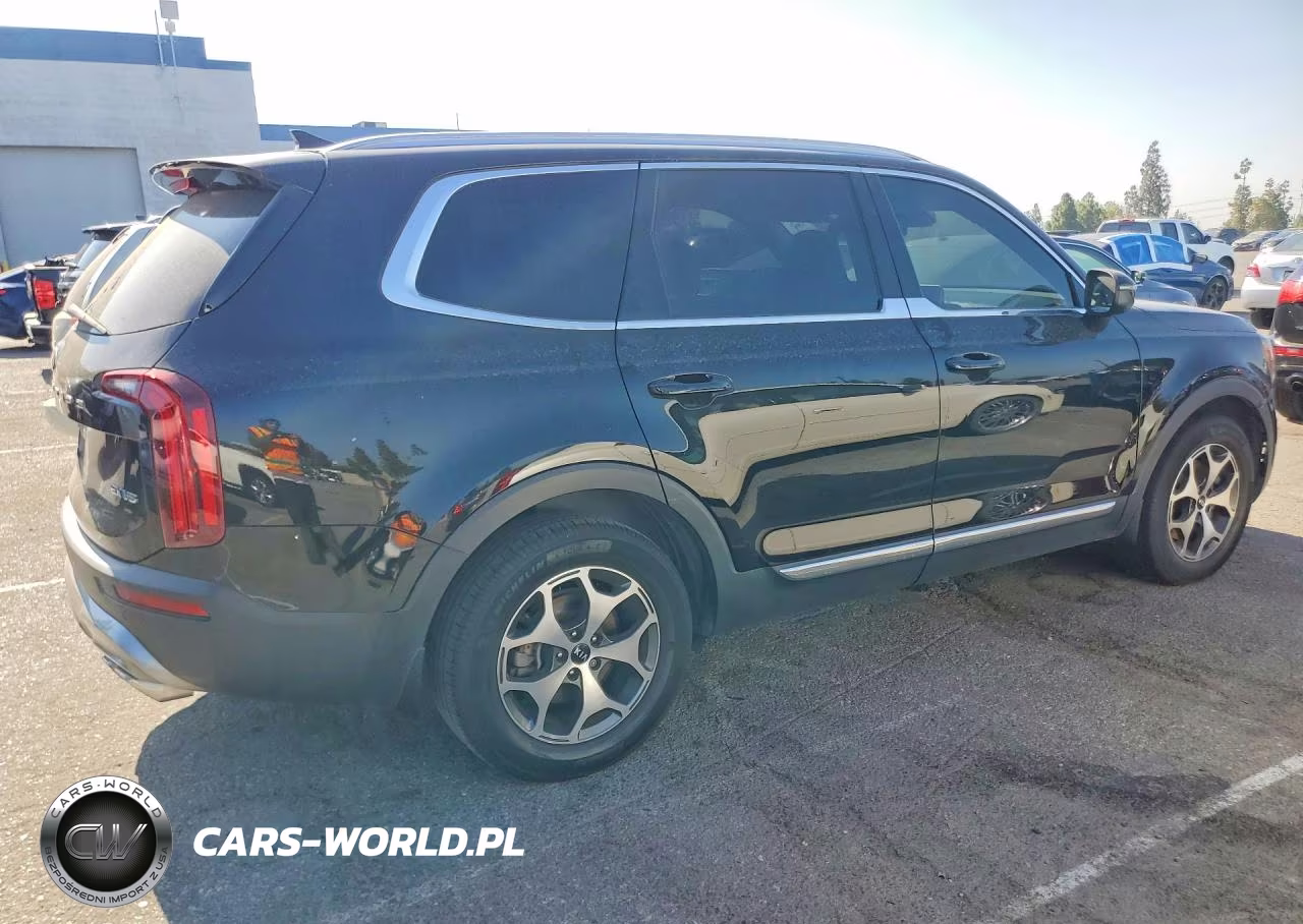 2021 Kia Telluride Ex VIN:5XYP34HC1MG165535 - 3