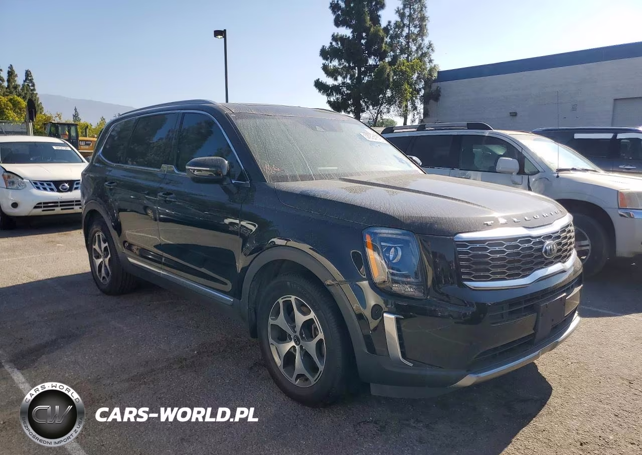 2021 Kia Telluride Ex VIN:5XYP34HC1MG165535 - 4