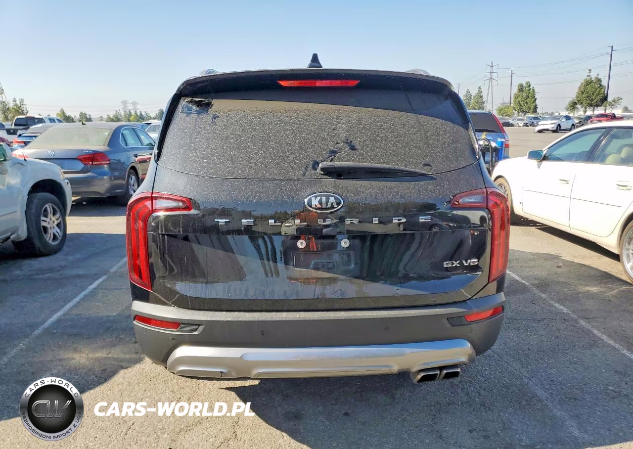 2021 Kia Telluride Ex VIN:5XYP34HC1MG165535 - 6