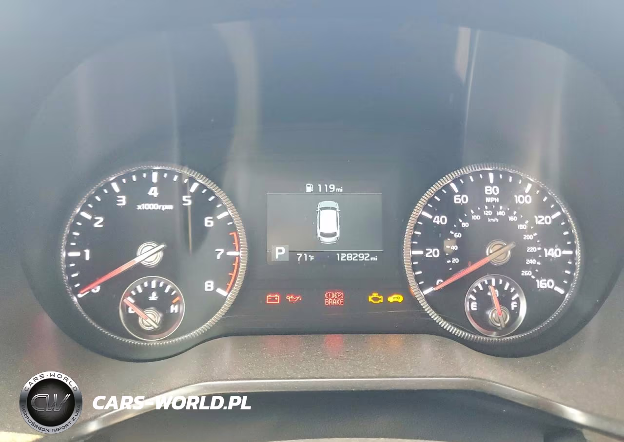 2021 Kia Telluride Ex VIN:5XYP34HC1MG165535 - 9