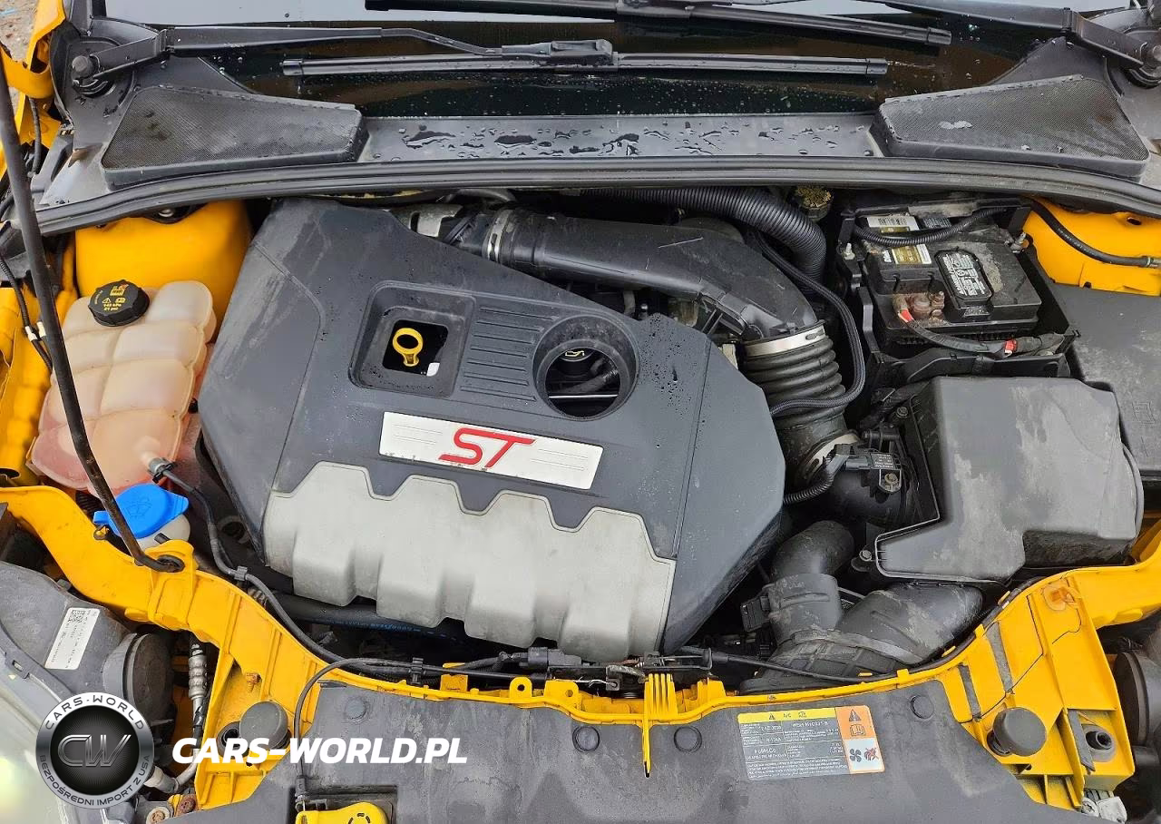 2013 Ford Focus St VIN:1FADP3L94DL254832 - 12