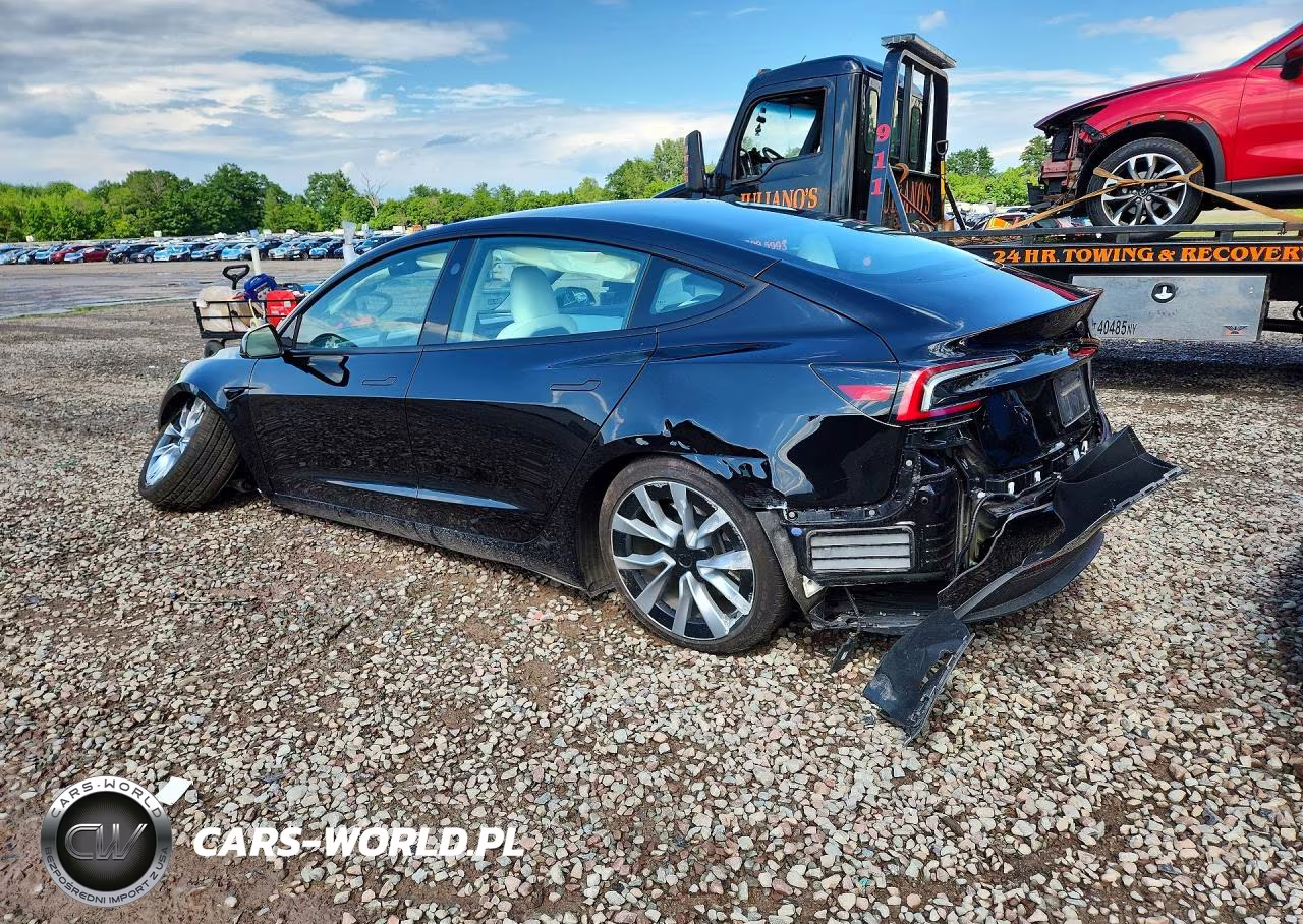 2025 Tesla Model 3 VIN:5YJ3E1EB0SF064946 - 2